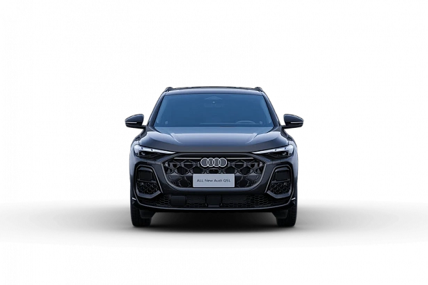 Q5 40 TFSI Quattro 2.0 AMT 4WD (204 л.с.) фото 13