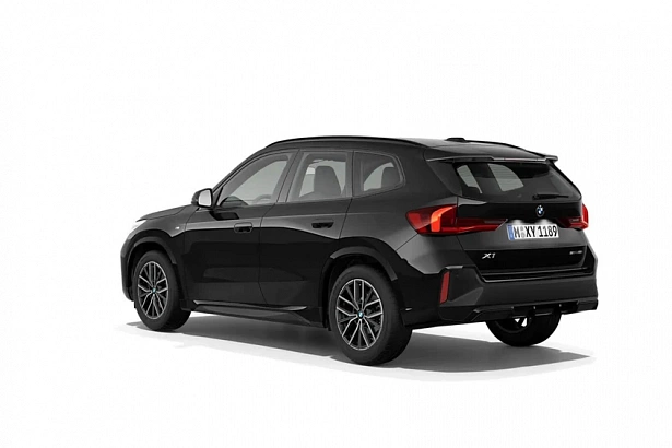 X1 xDrive25Li 2.0 AMT 4WD (204 л.с.) фото 11