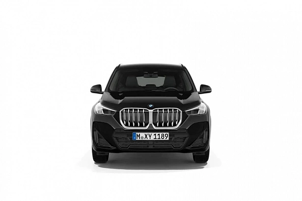 X1 xDrive25Li 2.0 AMT 4WD (204 л.с.) фото 12