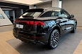 Q8 45 TDI 3.0d AT 4WD (249 л.с.) фото 6