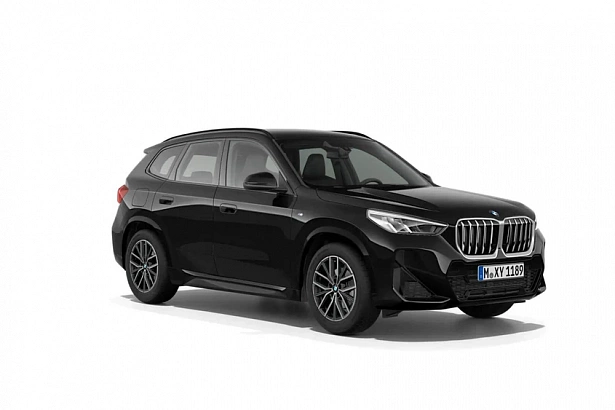X1 xDrive25Li 2.0 AMT 4WD (204 л.с.) фото 9
