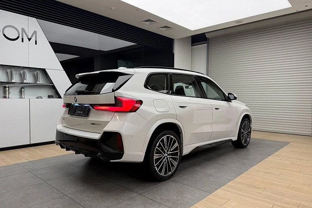 X1 xDrive25Li 2.0 AMT 4WD (204 л.с.) фото 6