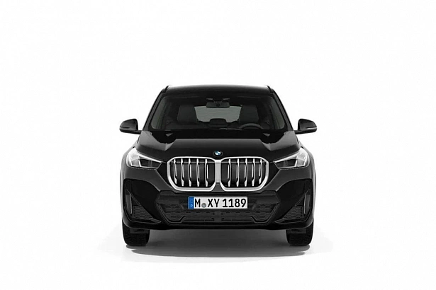 X1 xDrive25Li 2.0 AMT 4WD (204 л.с.) фото 4